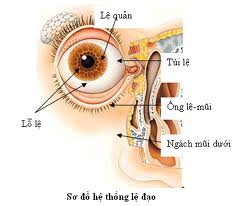 Chẩn đoán và điều trị viêm kết mạc