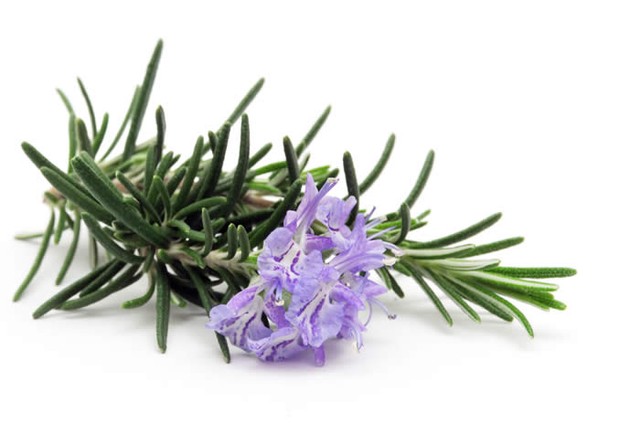 7 loại gia vị, thảo mộc giúp phòng chống ung thư hiệu quả