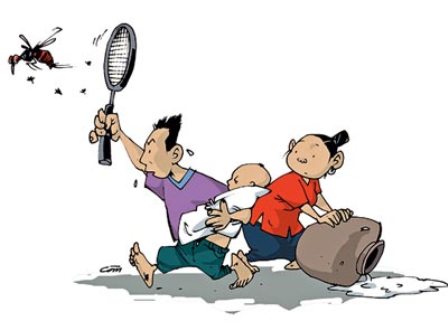 Bệnh sốt xuất huyết và cách phòng ngừa