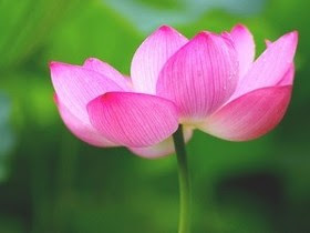 Mười điều lành