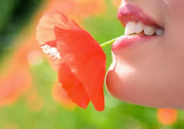Biết kiểm soát lời nói của mình cũng là một loại mĩ đức